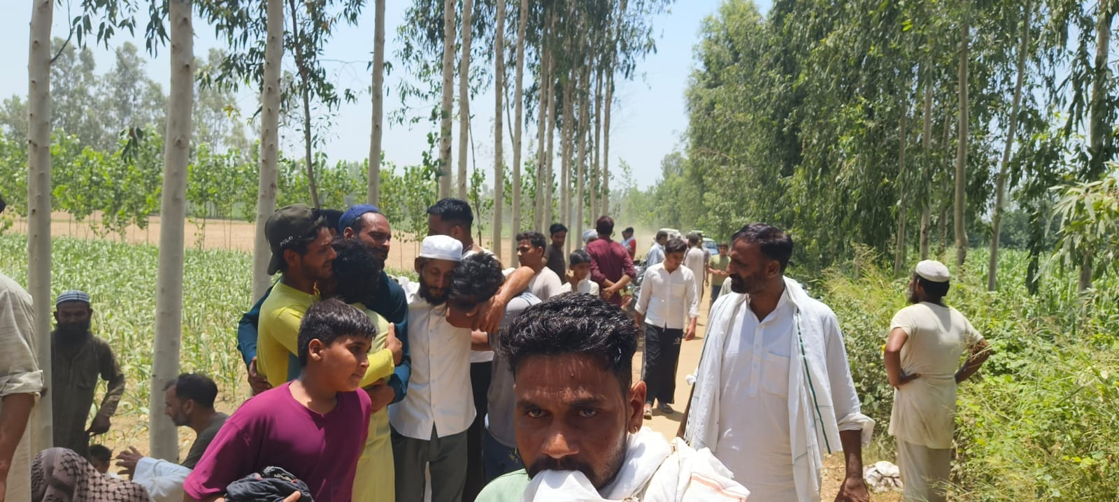 Son beheaded the Imam of the mosque: attacked his father repeatedly, but his hands did not tremble