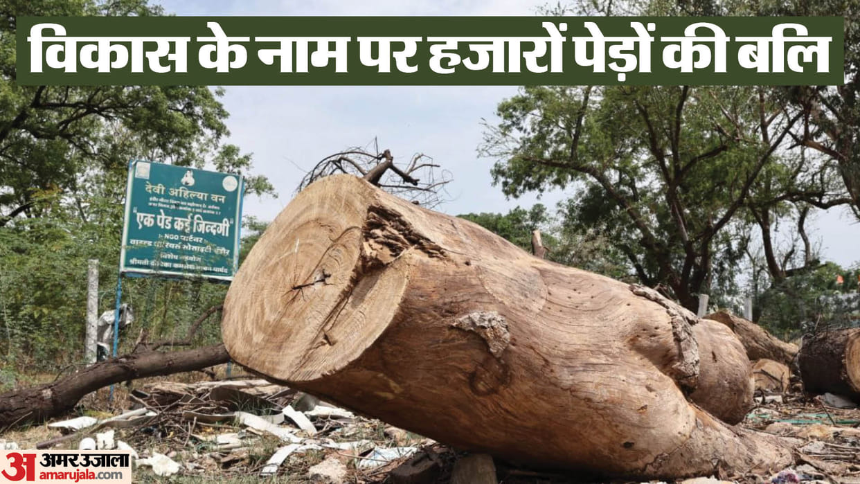 tree cutting plantation save nature plants rivers indore news