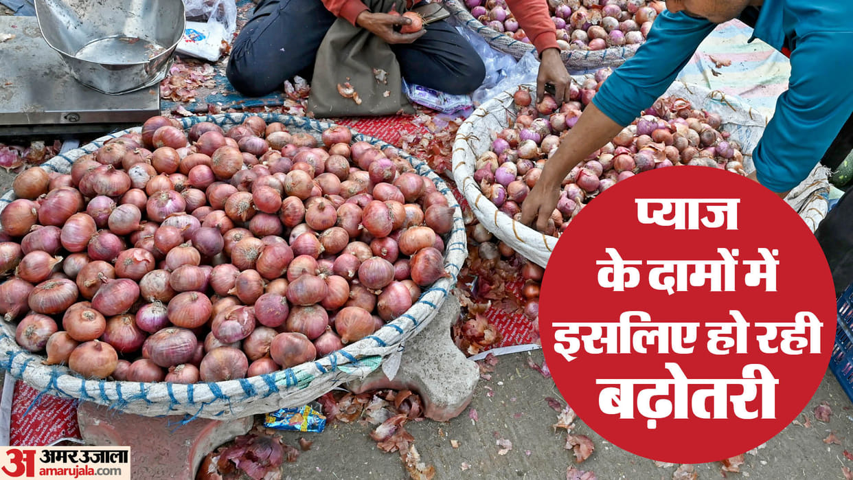 Onion price 11pc increase in week Rates to drop next month prices will decrease after buffer stock sales begin