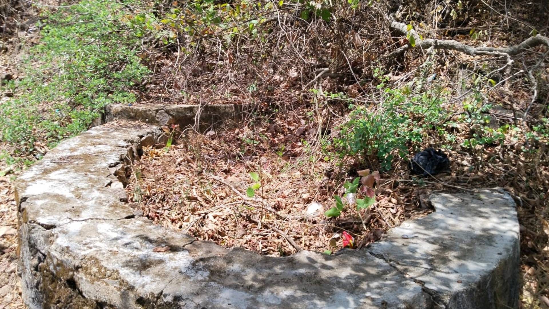 Rajasthan Lack of water for wildlife in Mount Abu Wildlife Sanctuary of Sirohi