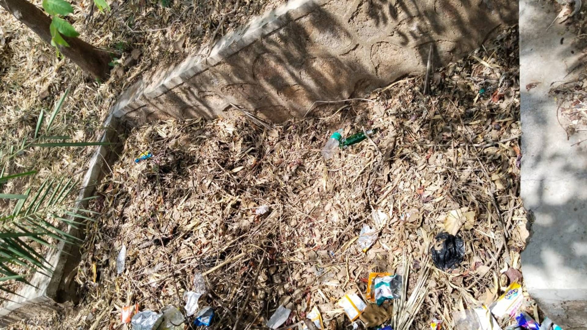 Rajasthan Lack of water for wildlife in Mount Abu Wildlife Sanctuary of Sirohi