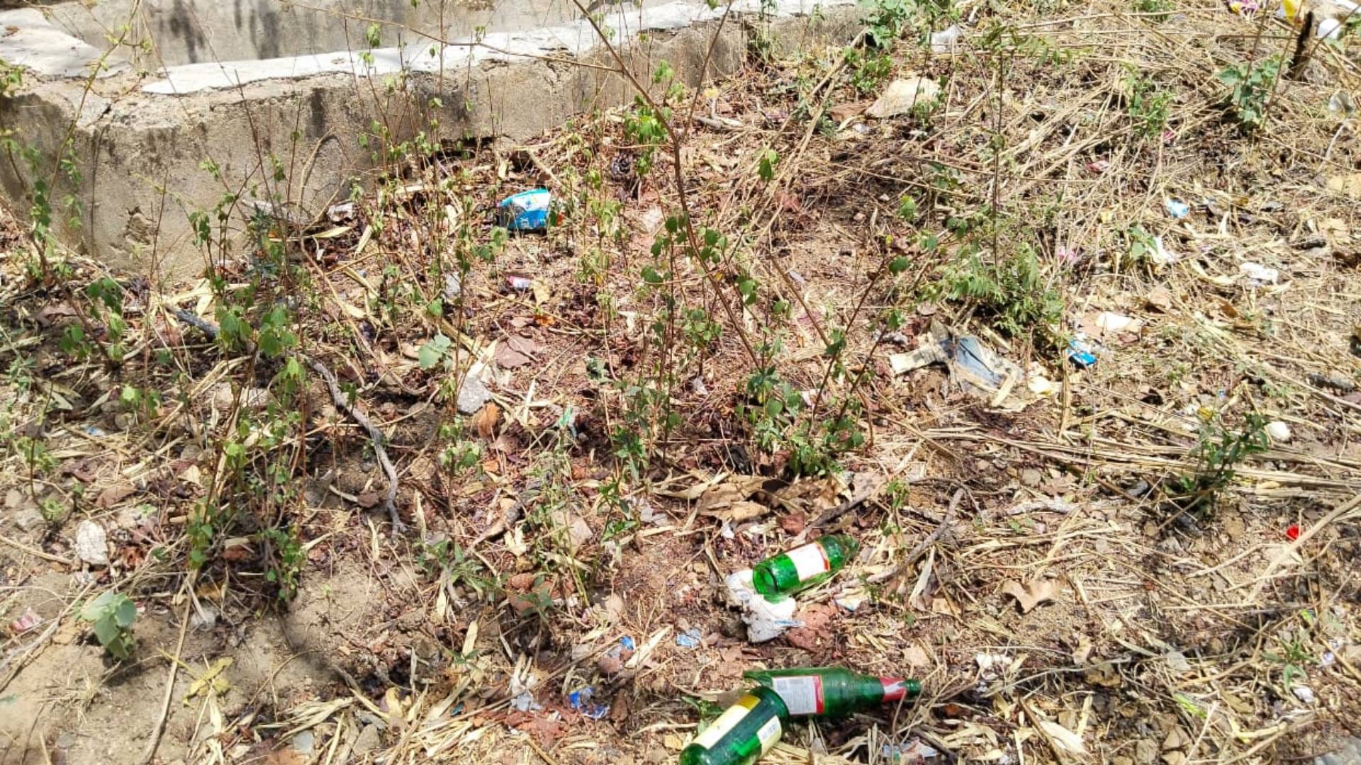 Rajasthan Lack of water for wildlife in Mount Abu Wildlife Sanctuary of Sirohi