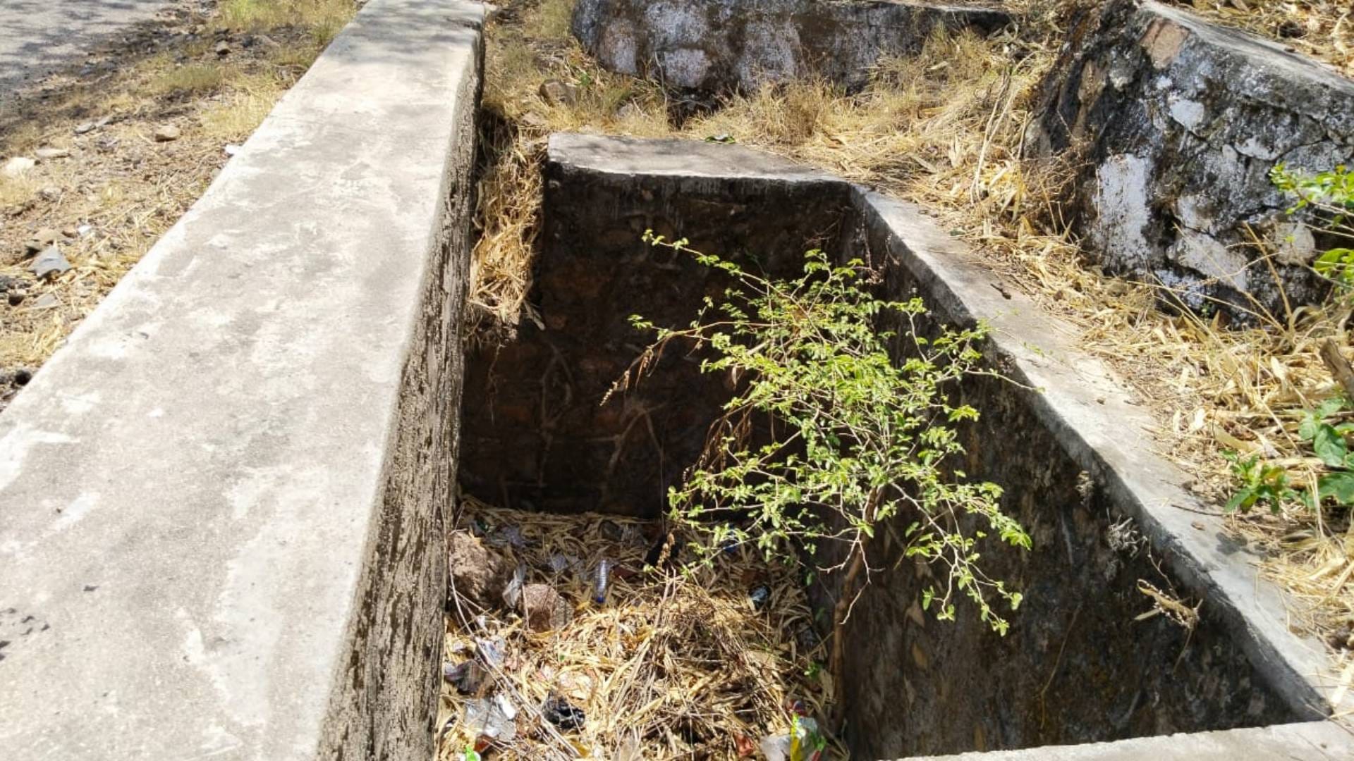 Rajasthan Lack of water for wildlife in Mount Abu Wildlife Sanctuary of Sirohi