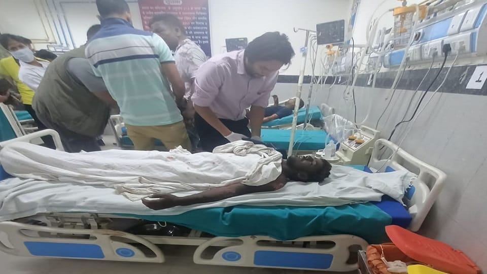 Four forest department employees burnt in forest fire in almora