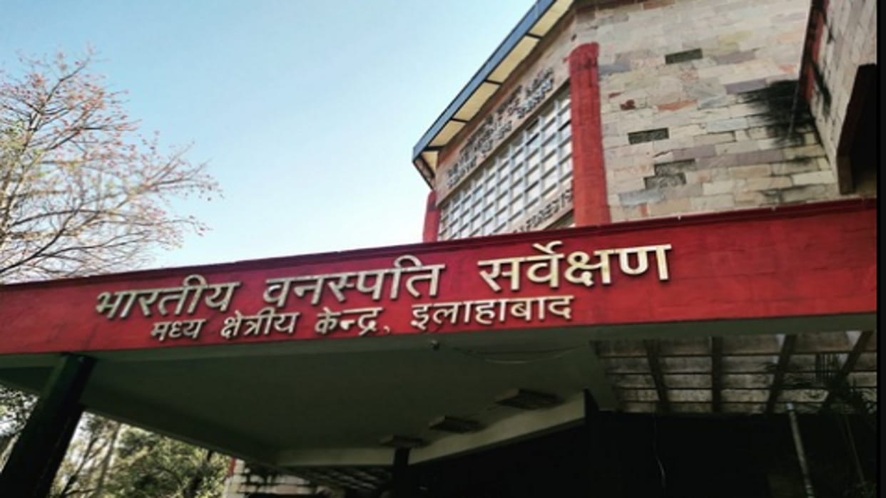 The flora of Sandi Dahar Lake of Hardoi will be surveyed, the team will investigate for a year.