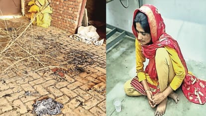 Mother cut her son with a shovel, burnt him alive with woods after he did not burn on a gas stove