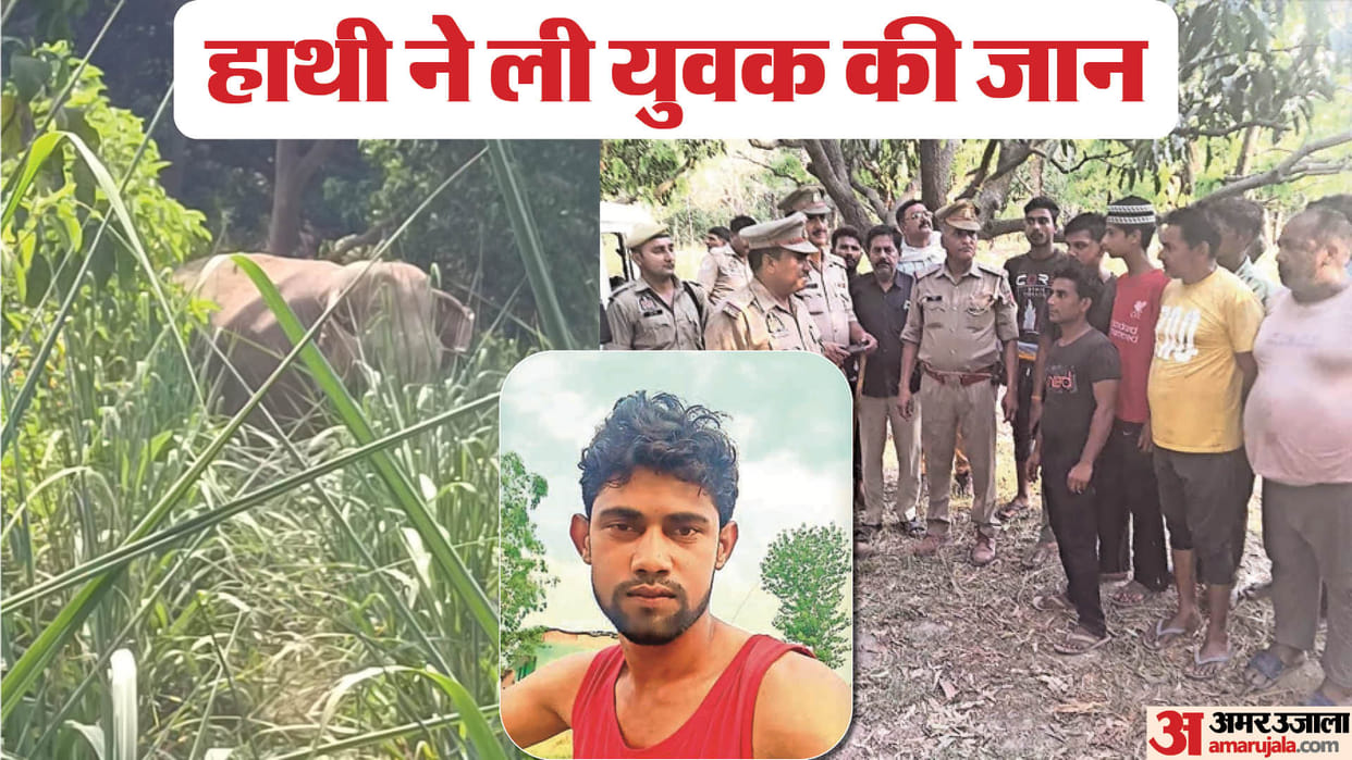 Bijnor: The elephant causing havoc attacked and killed the young man, died in the hospital