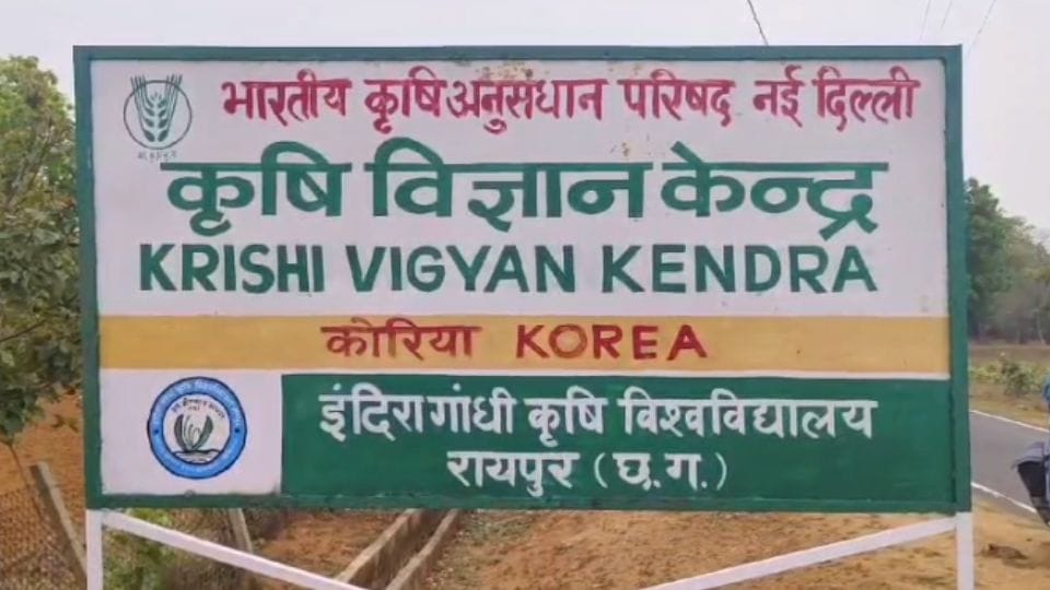 Saplings planted in Korea by spending Rs 41 lakh under MNREGA dry up due to lack of water