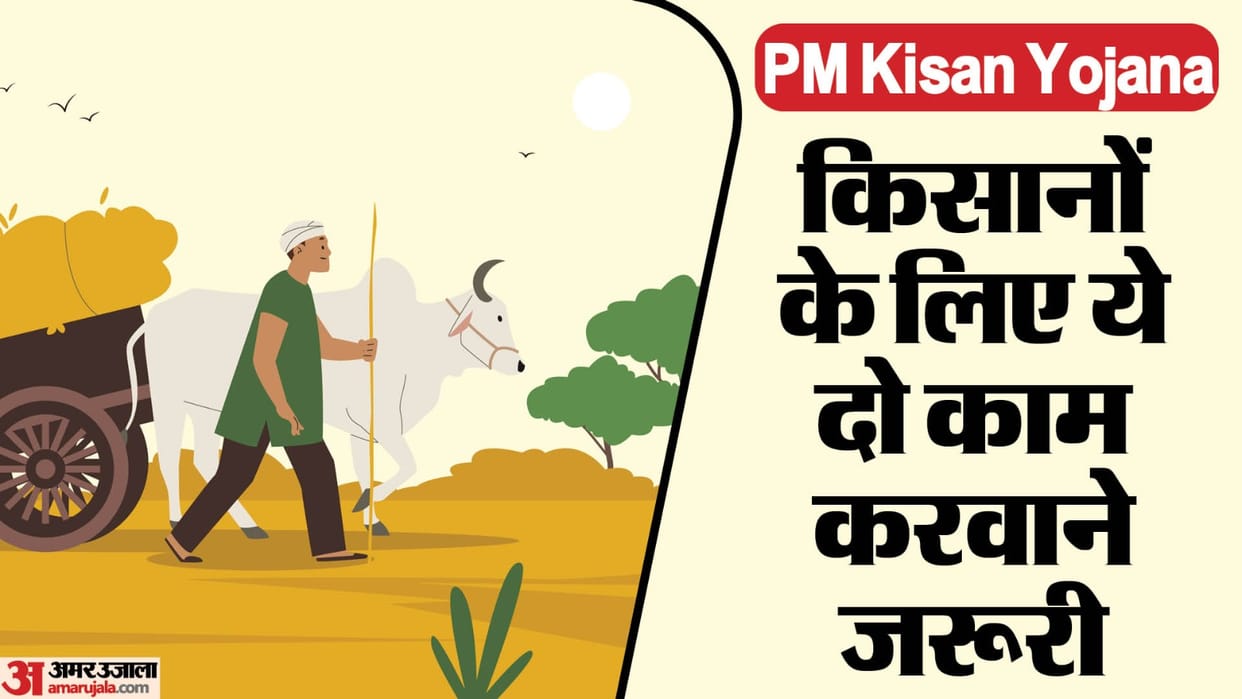 PM Kisan Nidhi: These Work is Required To Be Done For The 17th Kist