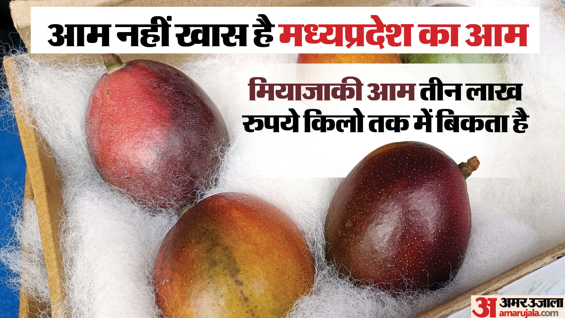 मध्यप्रदेश का आम