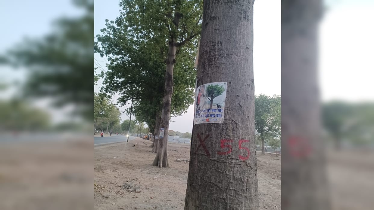 Sky High organization launched a unique campaign to save green trees from cutting, slogan going viral