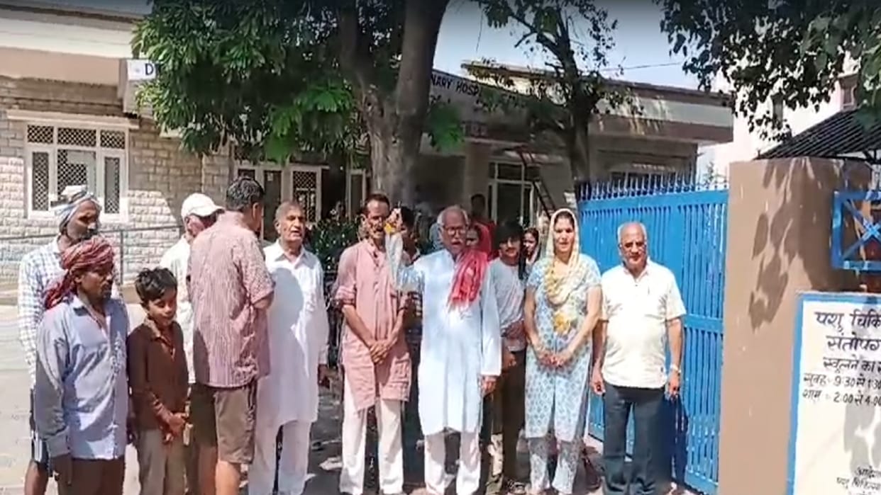 The committee reached the veterinary hospital with the dead cow and protested against the department