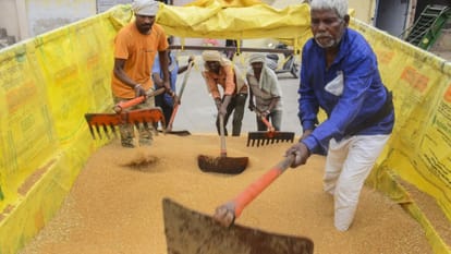 India has ample wheat stocks, no plans to alter import duty, says govt