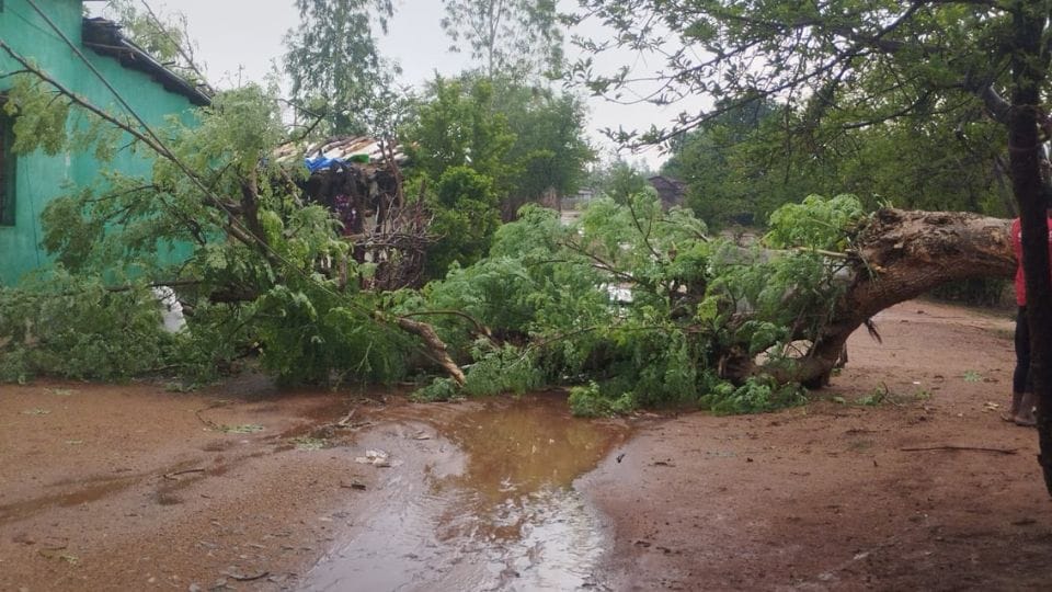 Rain with strong winds in Gaurela Pendra Marwahi