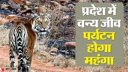 Rajasthan News: 10 percent increase in fare for Rajasthan wildlife tourism