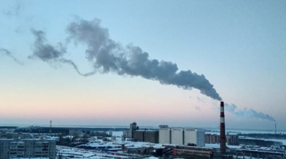 Worrying: Air pollution is attacking the immune system, making children mentally weak