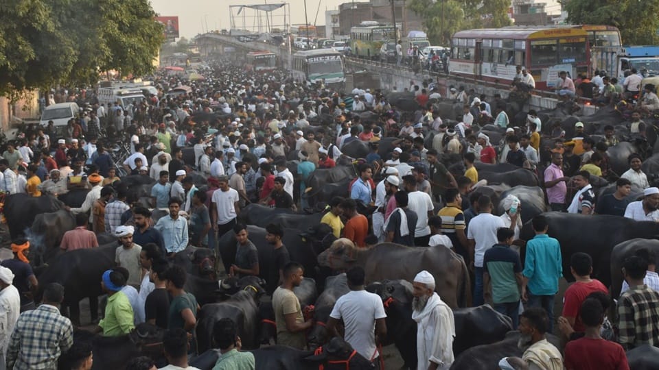 Bakrid Namaz Time 2024: Bakrid Namaz will be held Moradabad Idgah June 17 at 7:30 am