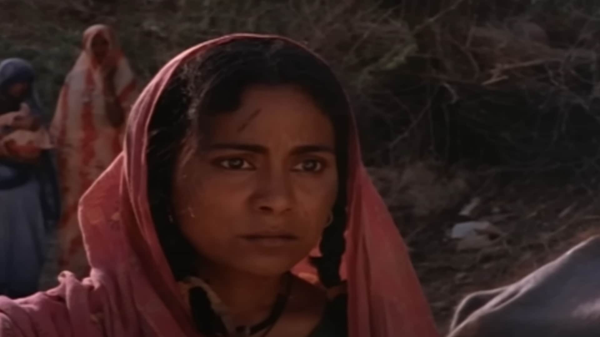 Most Violent Movies in Bollywood Gangs of wasseypur Badlapur Animal Bandit queen