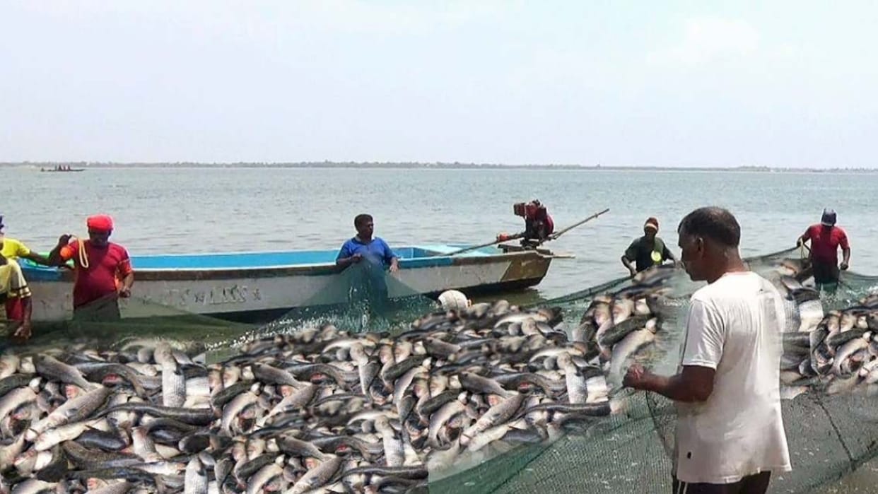 Chhattisgarh government imposed ban on fishing during weather close season
