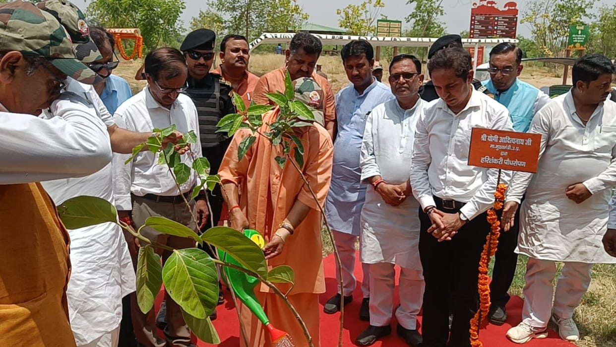 Environment Day today: Five crore saplings to be planted in UP under the Ek Ped Maa Ke Naam campaign, CM will