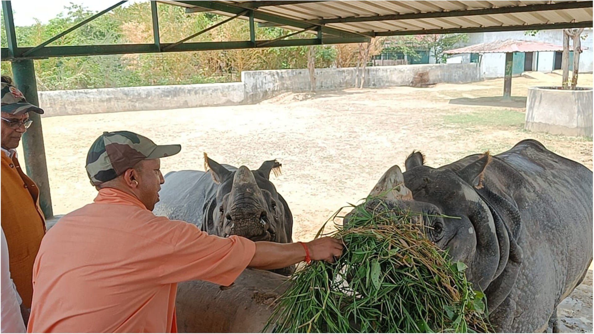 CM Yogi sent the pair of Babbar lions to crawl inside the enclosure at Gorakhpur Zoo