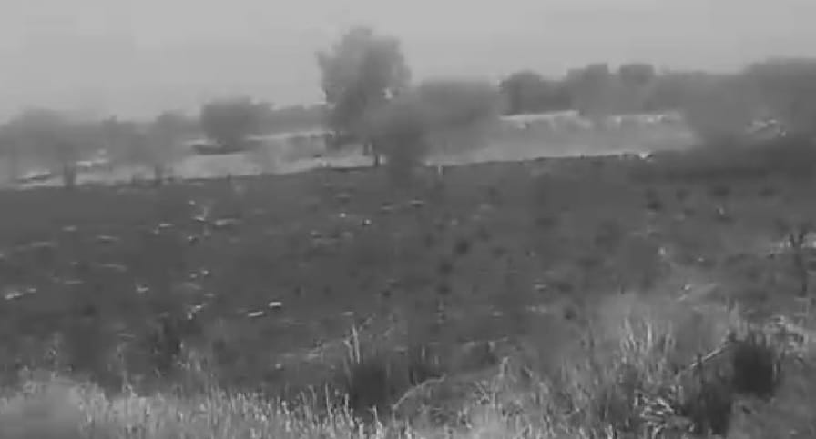 Five bigha eucalyptus garden burnt to ashes due to arson, hundreds of birds and insects died