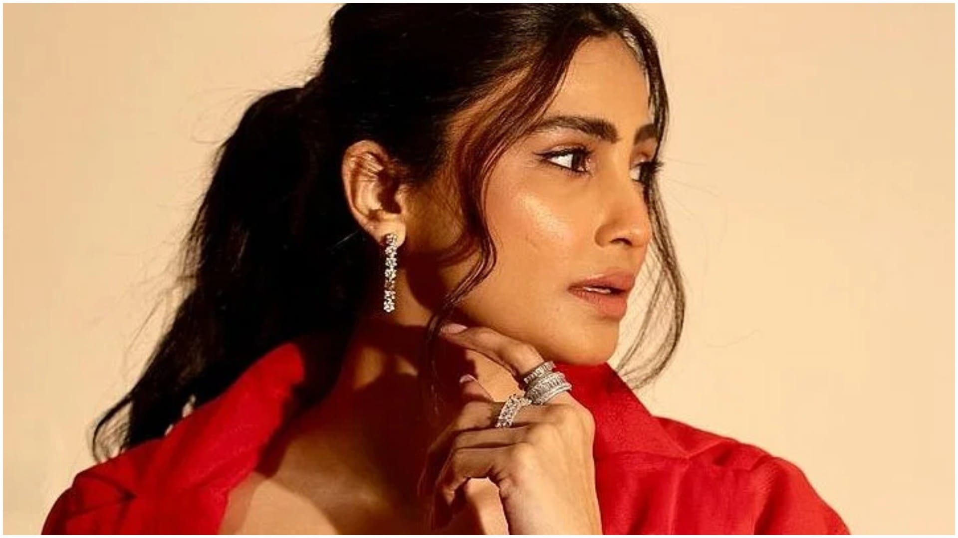Nargis Fakhri Ileana DCruz Zareen Khan Bollywood Actresse disappeared from screen after playing leading lady