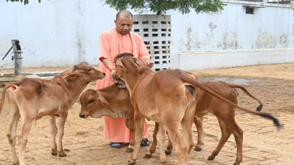 CM Yogi heard complaints during the public darshan of Gorakhpur Gorakhnath temple and gave instructions