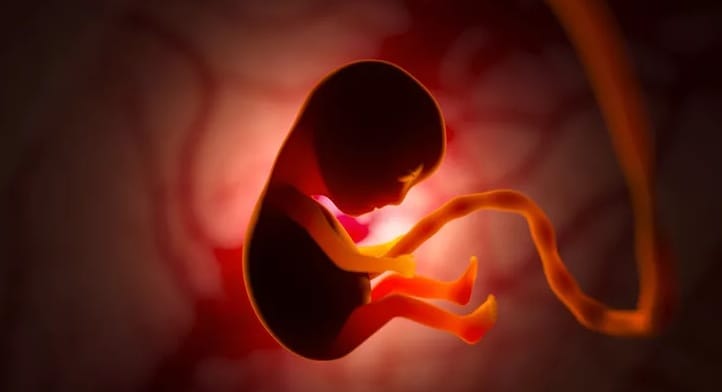 finding two human embryos in three days, villagers said a doctor runs an illegal abortion business