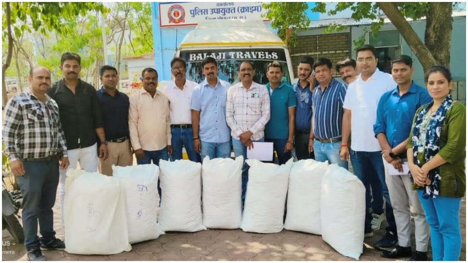 MP News: Bhopal Crime Branch arrested six smugglers with 1.35 quintals of ganja