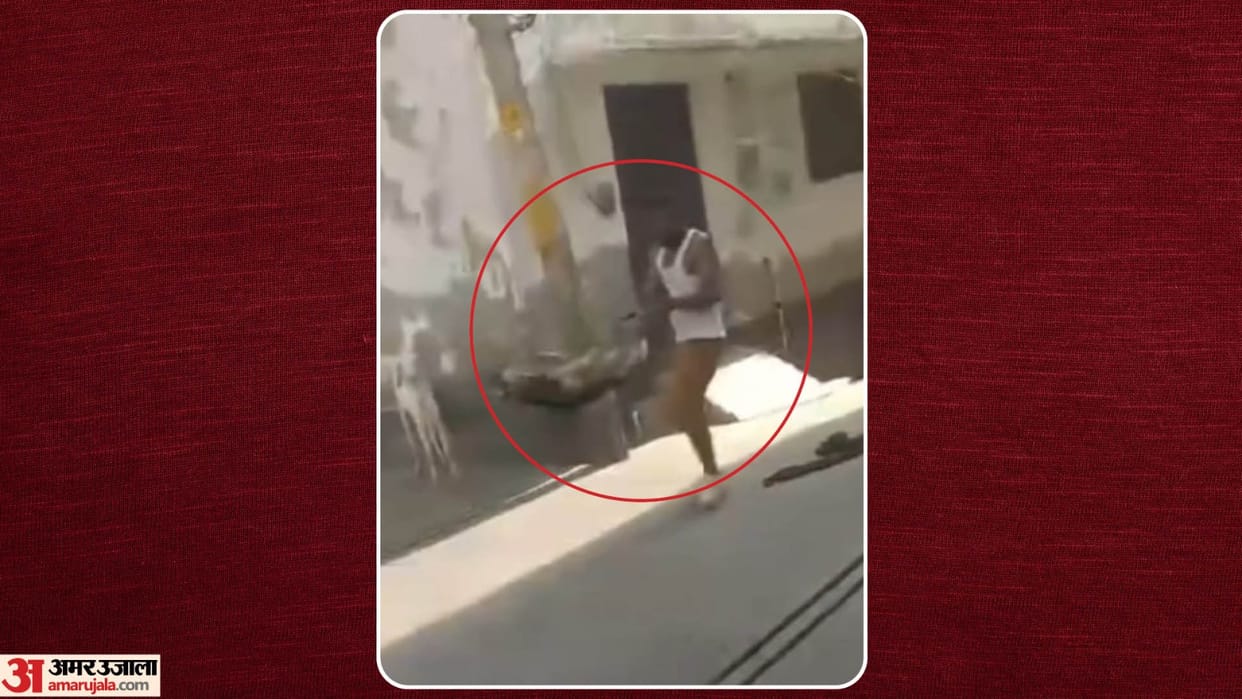 Young Man thrashed a street dog on road In Baghpat