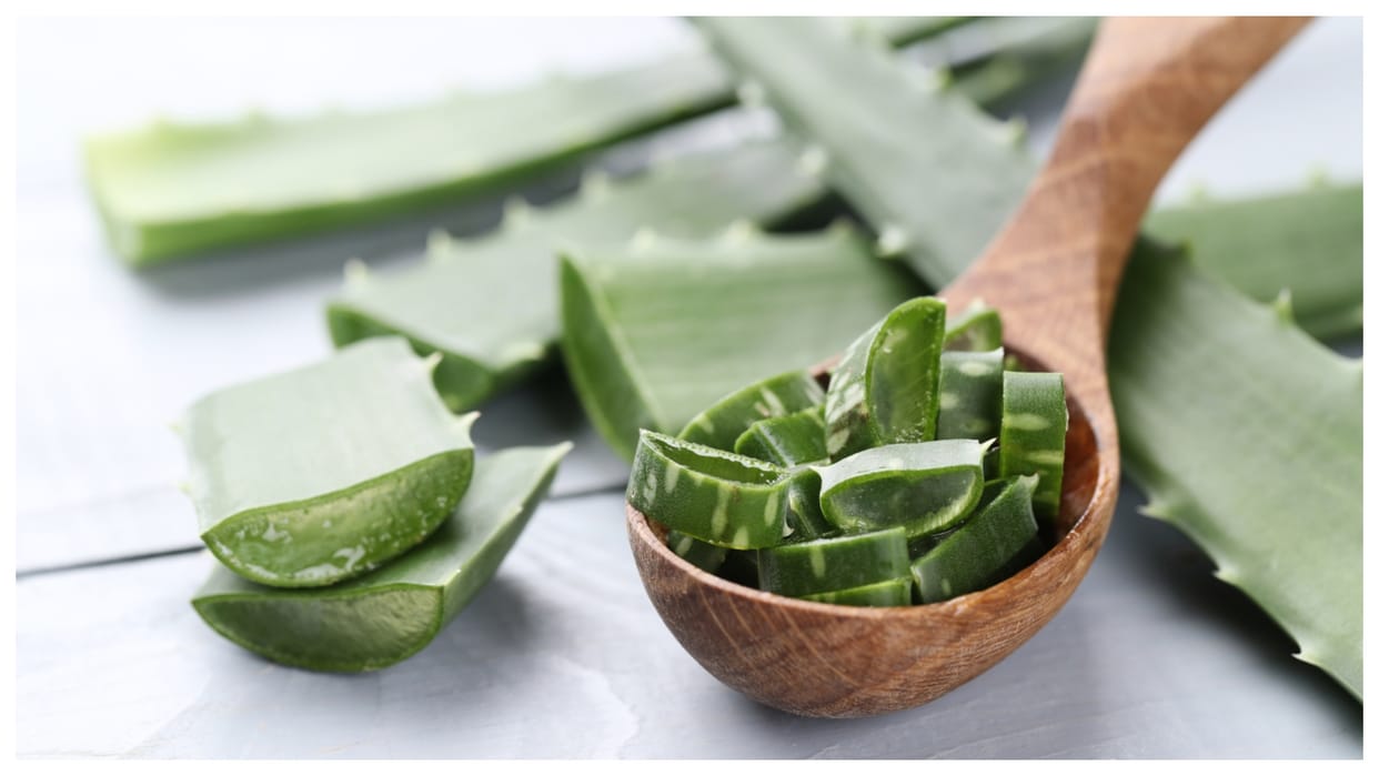 Aloe Vera Side Effect Aloe Vera is very harmful for these people
