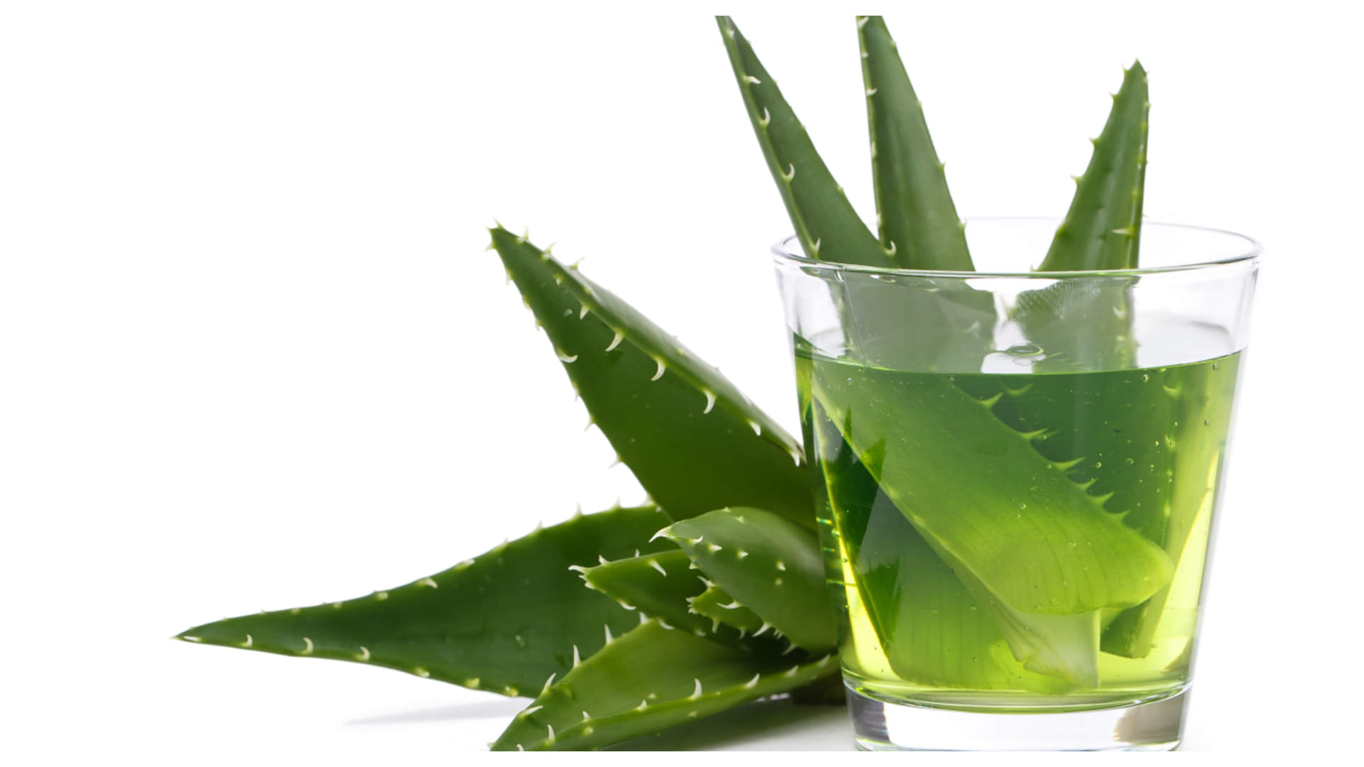 Mosquito Bites Remedies Get Instant Relief with These Home Remedies