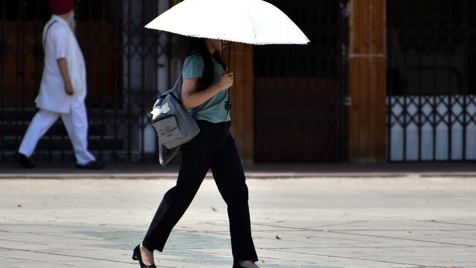 UP Weather Forecast Today IMD Report 171 People Died due to Extreme Heat Wave see Hottest City List