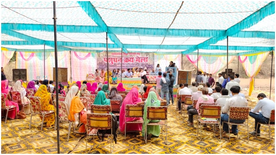 Katni News: Livestock fair organized to connect women with self-employment target of selling 279 buffaloes