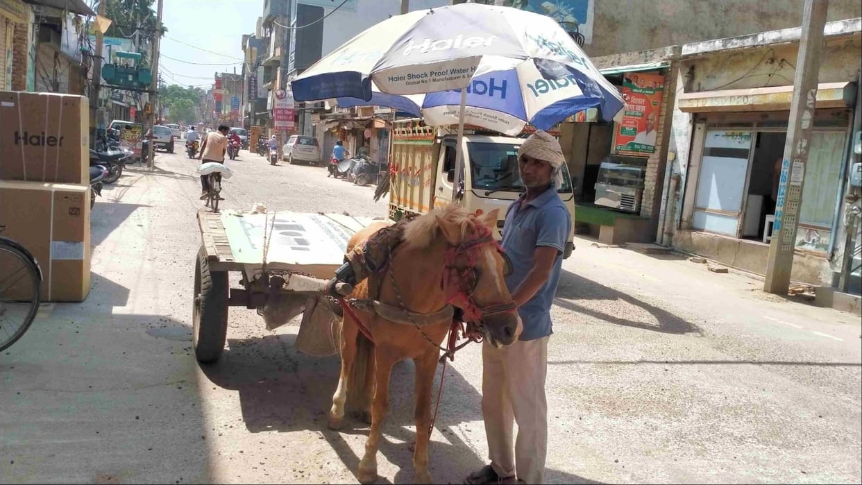 Haryana Weather: Crops scorched in heat wave, loss up to 30 percent, change in weather from tomorrow