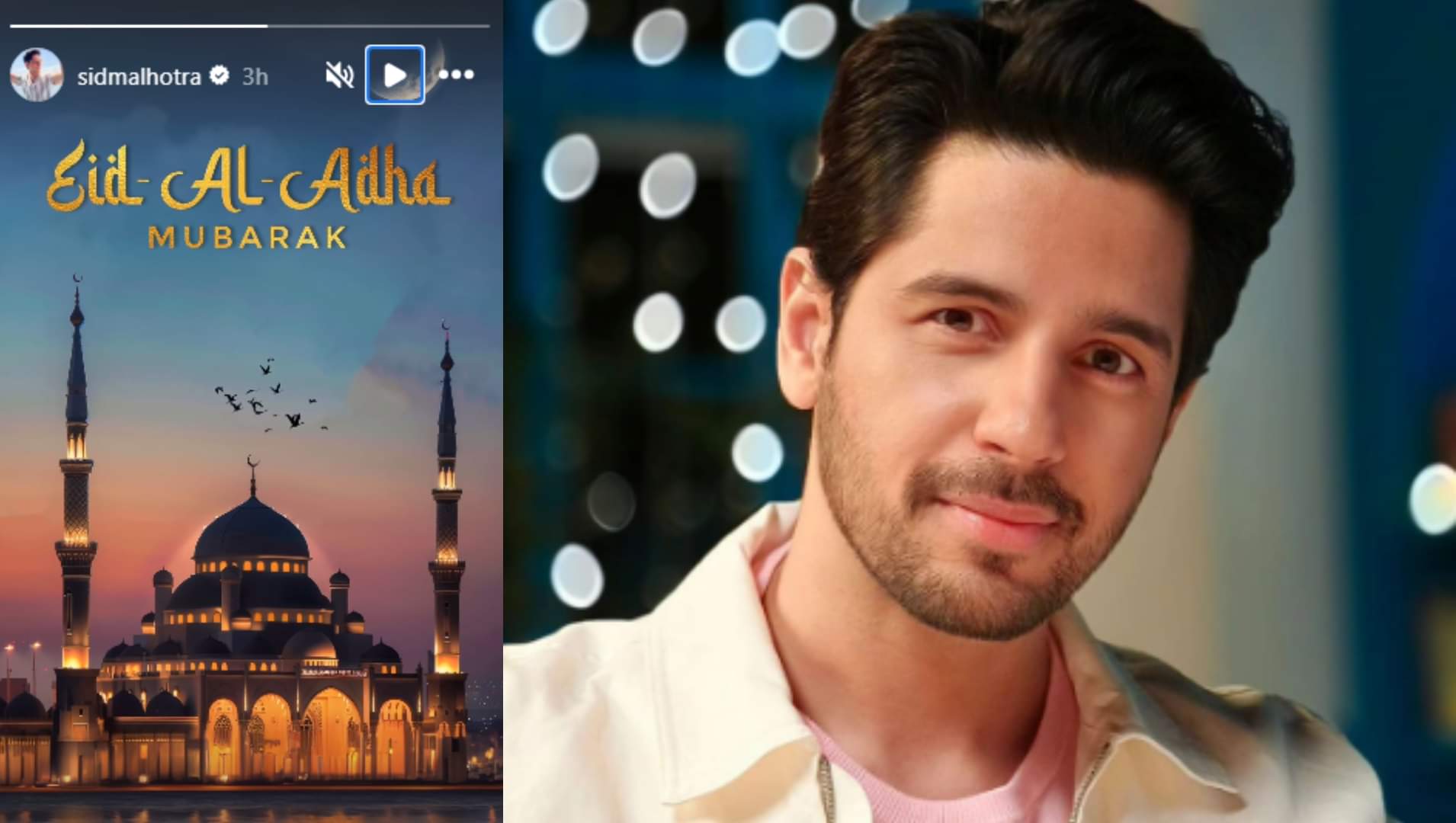 Bollywood stars like Sunny Deol Sidharth Malhotra Anil Kapoor Salman khan Shahrukh Khan wished Eid-ul-Adha