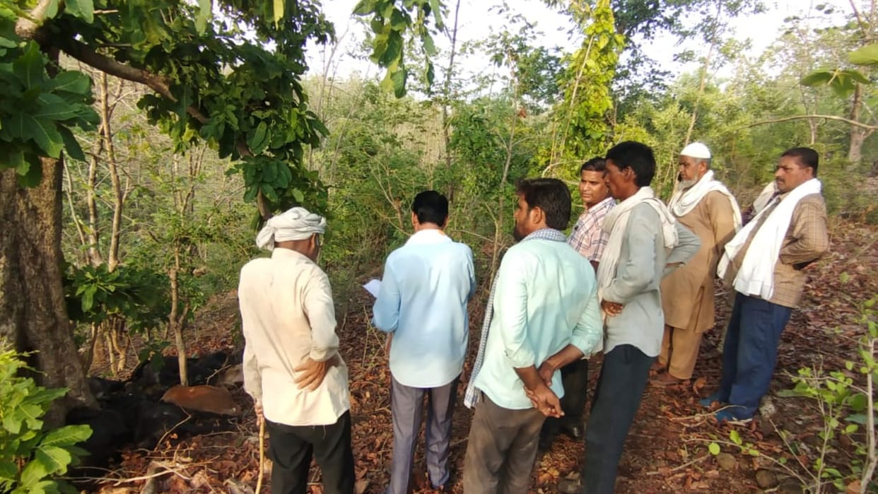 27 goats died due to lightning in sagar