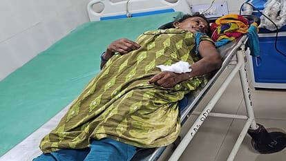 only son died due to snake bite woman died in Sukma she was not treated for dog bite in Jagdalpur