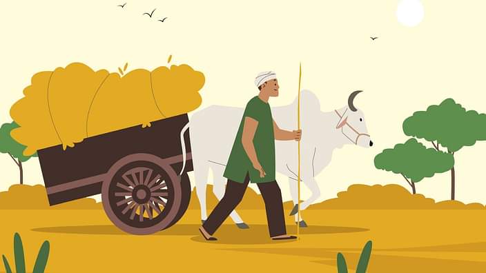 PM Kisan Yojana Will Budget 2025 on February 1 Increase Farmer Installments Budget ka PM kisan yojana par asar