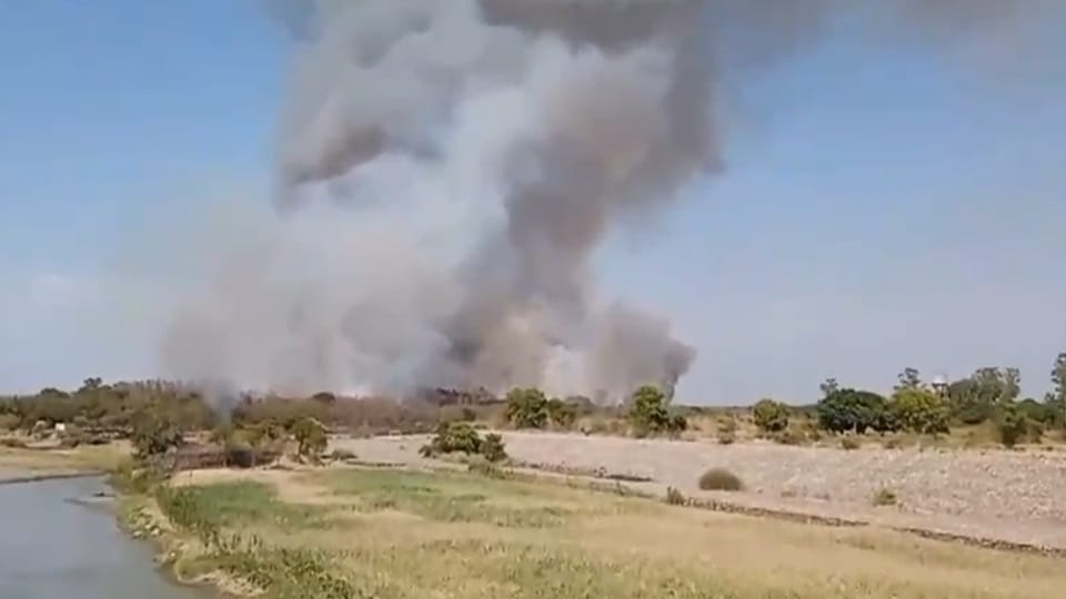 Fire broke out in wildlife sanctuary in Pathankot