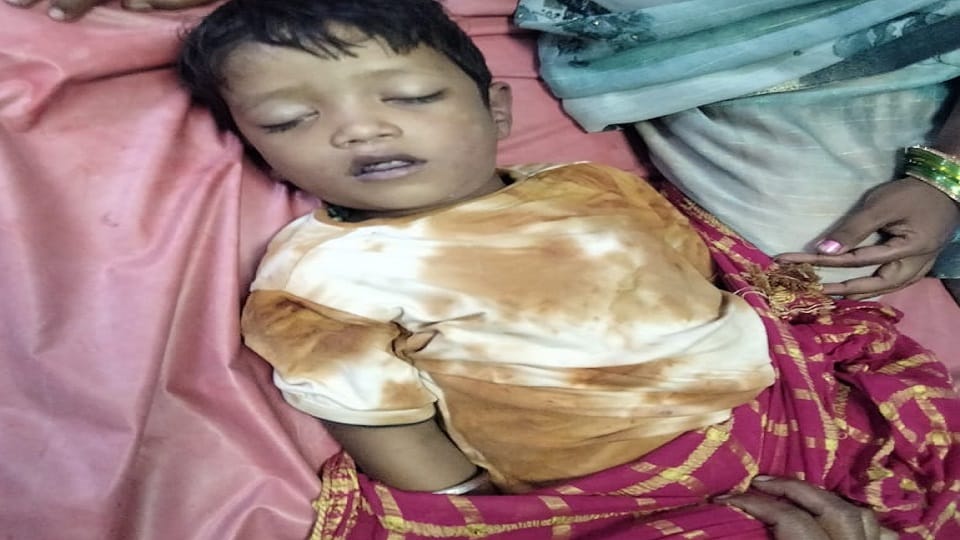only son died due to snake bite woman died in Sukma she was not treated for dog bite in Jagdalpur