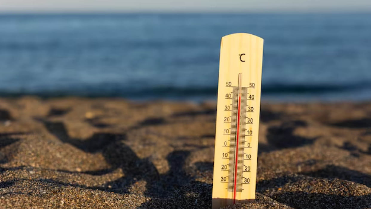 WMO warns 2024 on track to become hottest year ever