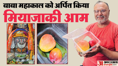 Ujjain News Jabalpur Mahakal Devotee Offered Worlds Most Expensive Mango Know Price
