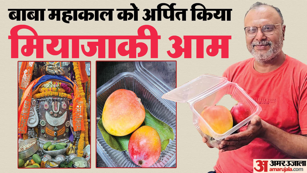 Ujjain News Jabalpur Mahakal Devotee Offered Worlds Most Expensive Mango Know Price