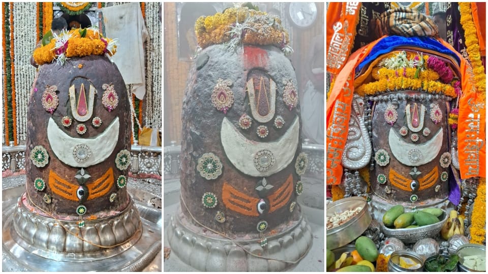 ujjain: Baba Mahakal decorated with Tripund and Trinetra in Bhasma Aarti Moon decorated on head