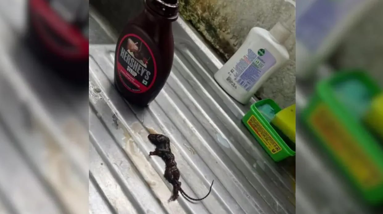 Video: Dead Mouse Found In Hershey's Chocolate Syrup and Company Responds