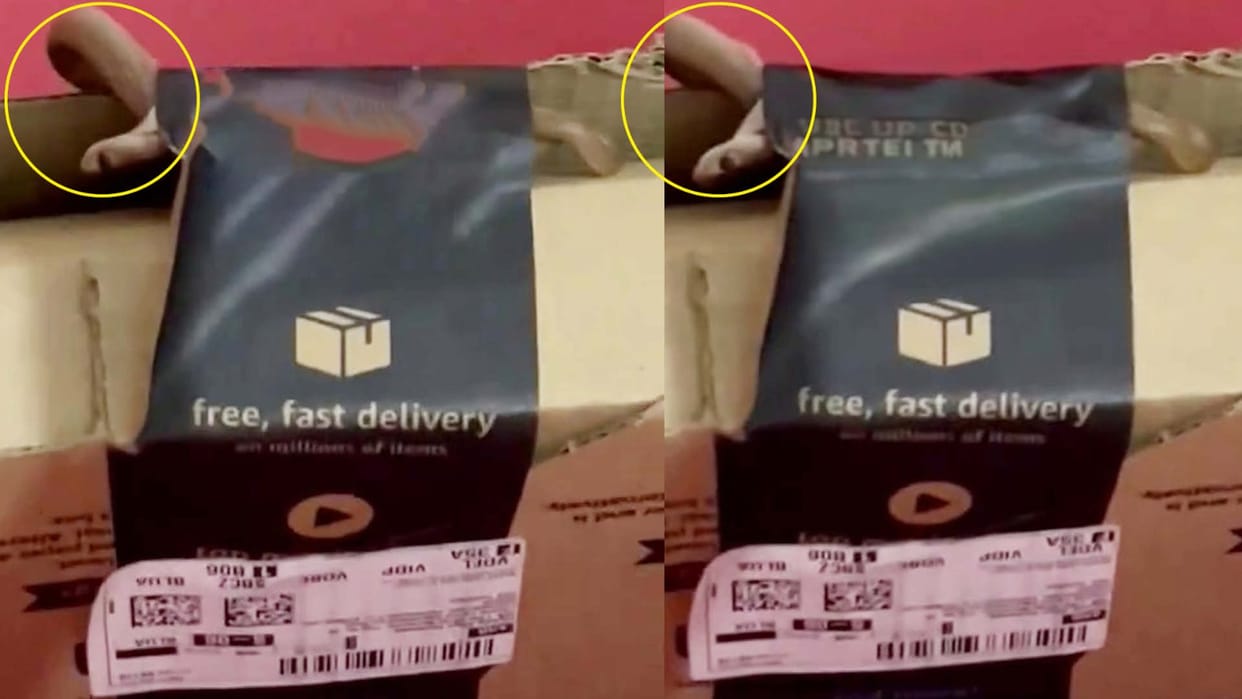 Karnataka couple from Bengaluru found cobra in their Amazon package containing an Xbox controller