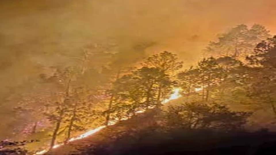forest fire