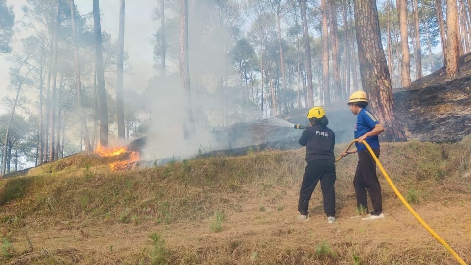 Almora Forest Fire: Fire in the forests of Almora